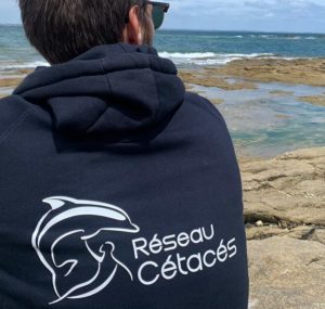 sweat reseau-cétacés au bord de la mer