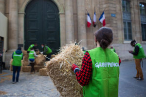 greenpeace gilet vert femme qui porte une botte de foin